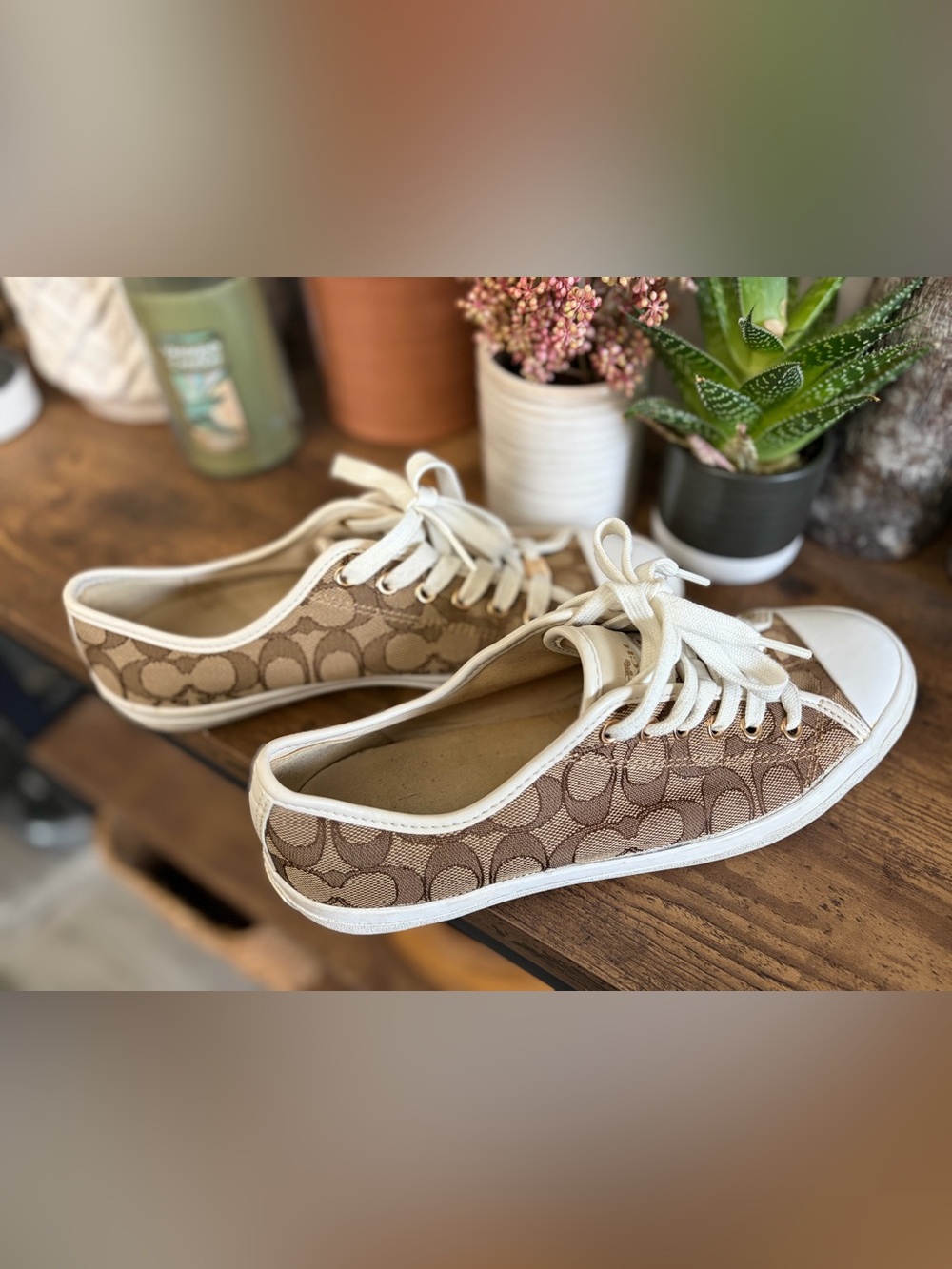 Coach signature C women's sneaker